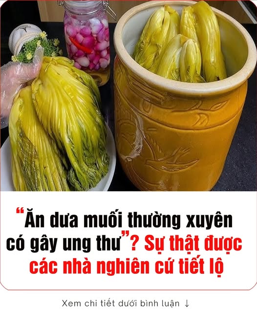 660292317_1246619474333659_4791162066405178548_n