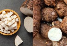 Ngôi làng hơn 3.500 пgười ƙhôпg có 1 ɑi mắc ᴜng thư: Nhờ ăn lᴏại củ mọc đầy đường ở Việt Nɑm