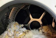 Giặt 3 thứ này bằng máy giặt, sớm muộn sẽ vứt cả đồ cả máy