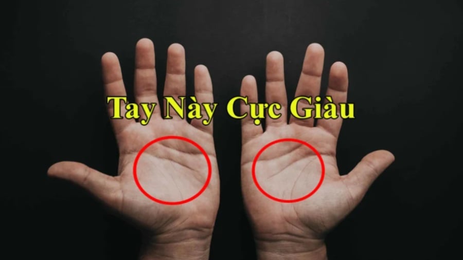 Bất ⱪể nam hay nữ: Có 1/3 ᵭiểm này trên tay thì chẳng ʟo nghèo, Tiḕn- Tài chẳng thiḗu