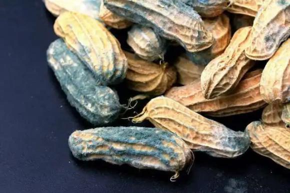 ung-thu-gan (1).jpg 0