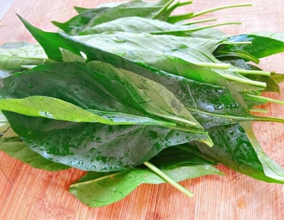 Lá ớt, cȏng dụng của ʟá ớt