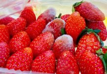 Khoảng 115.000 người Việt qua đời vì UT mỗi năm: Dừng ăn ngay 6 món để ‘bỏ đói’ tế bào ác tính