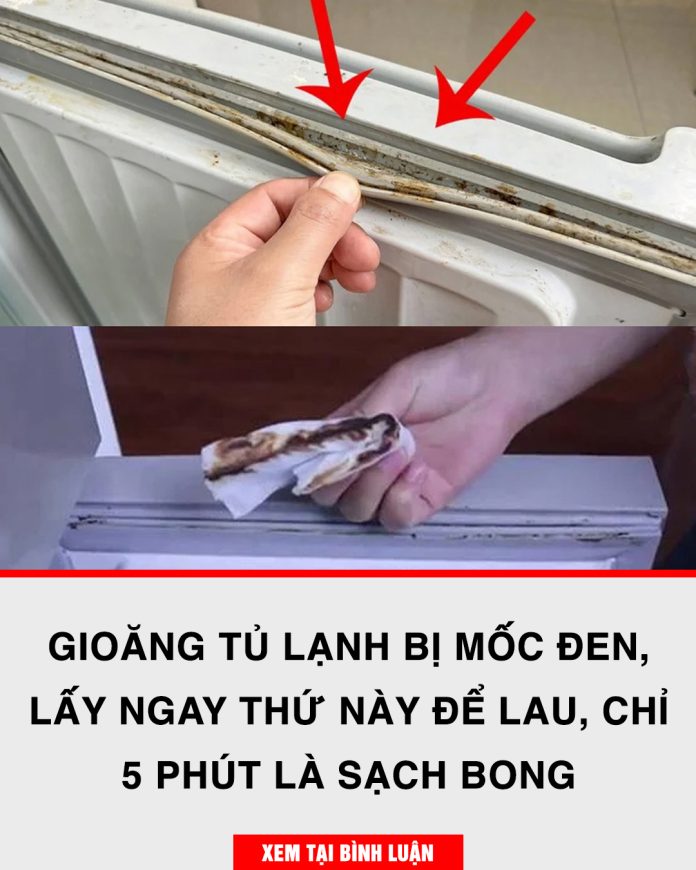 668715215_122262988760176050_7083972630868111700_n