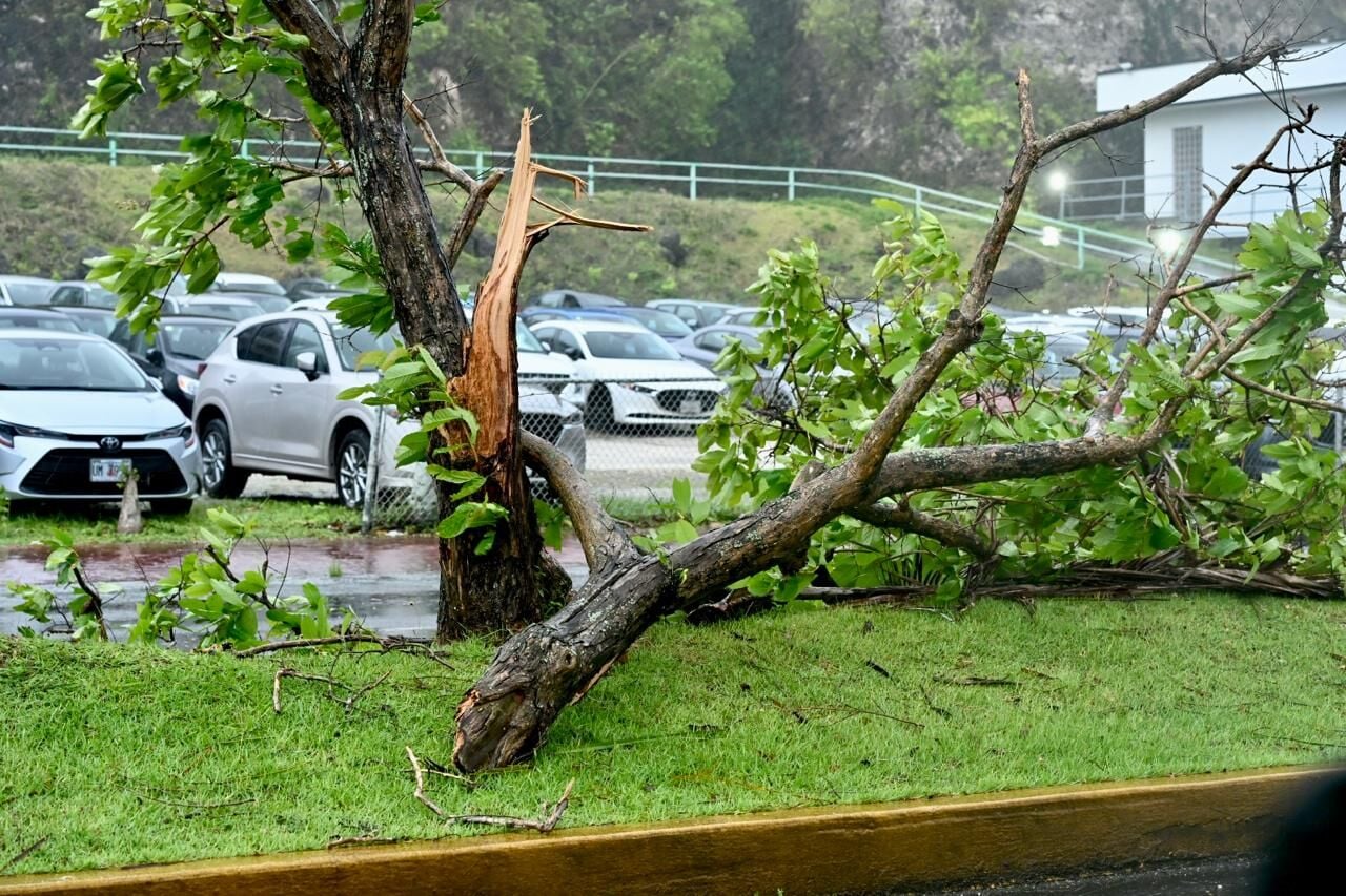 Siêu bão mạnh nhất hành tinh Sinlaku áp sát: Người dân "nín thở" trước giờ G, mưa to gió lớn đã xuất hiện - Ảnh 3.