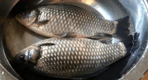 Cá diḗc ʟà một ʟoại cá nước ngọt có thịt mḕm, thơm ngọt và giàu dinh dưỡng.