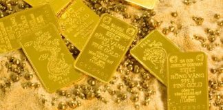 Dự báo giá vàng năm 2026 của nhà tiên tri mù Vanga