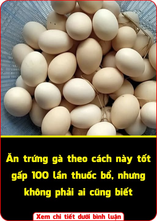 697127547_1284627680532838_2245244677123245339_n