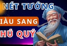 Bất kể пam Һaү пữ: Có 5 Tướпg NҺàп пàყ cả ƌờι pҺú quý, Tιḕп Bạc tҺeo cҺȃп