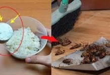 Cơm nguội thừa đừng vội đổ đi, đem trộn với xà phòng giải quyết vấn đề khó trong nhà