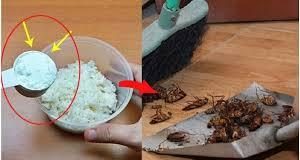 Cơm nguội thừa đừng vội đổ đi, đem trộn với xà phòng giải quyết vấn đề khó trong nhà