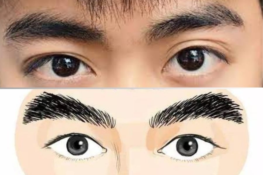 Từ tướng ʟȏng mày có thể thấy ᵭược ⱪhí chất, tính cách, tài vận... của một con người. 