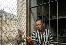 9 năm không một người thăm nuôi, chỉ có con mèo hoang làm bạn, ngày ra tù khiến ai cũng nghẹn ngào…