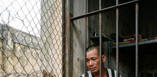 9 năm không một người thăm nuôi, chỉ có con mèo hoang làm bạn, ngày ra tù khiến ai cũng nghẹn ngào…
