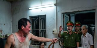 Mẹ ký đi, giờ mẹ ɢɪà rồi, giữ đất làm gì nữa?