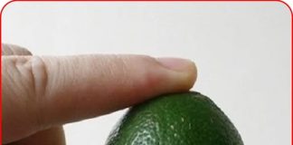 Đọc xong bài viết này, chắc chắn lúc nào bạn sẽ luôn mang theo bên mình 1 quả chanh, sẽ có lúc cứu sống bạn đấy
