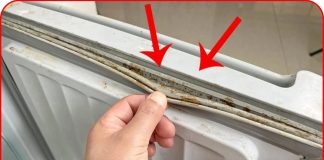 Gioăng tủ lạnh bị mốc đen, lấy ngay thứ này để lau, chỉ 5 phút là sạch bong