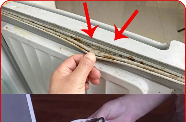 Gioăng tủ lạnh bị mốc đen, lấy ngay thứ này để lau, chỉ 5 phút là sạch bong