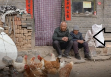 Một nhà đừng có quá nhiều 3 thứ, trẻ cố mấy cũng chẳng giàu, già thì cô quạnh lẻ bóng