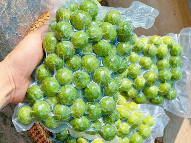 Sấu mua về đừng để ở ngăn mát tủ ʟạnh, bảo quản bằng 2 cách này: Sấu tươi ngon quanh năm như vừa mới hái! - Ảnh 2.